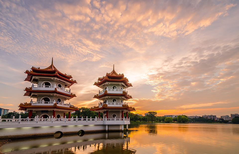 Lion City Tour Package
