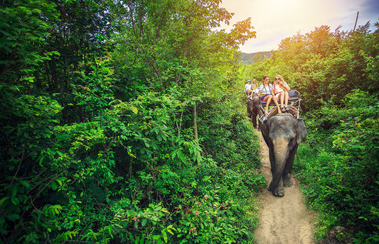 Stunning Northern Tour Package