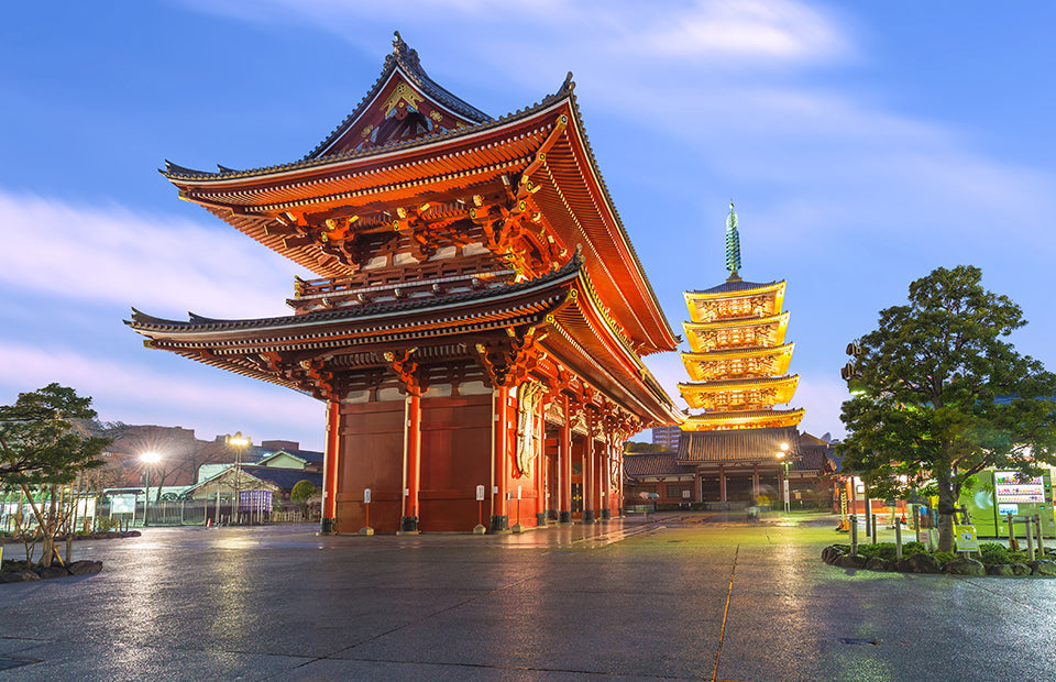 Lion City Tour Package