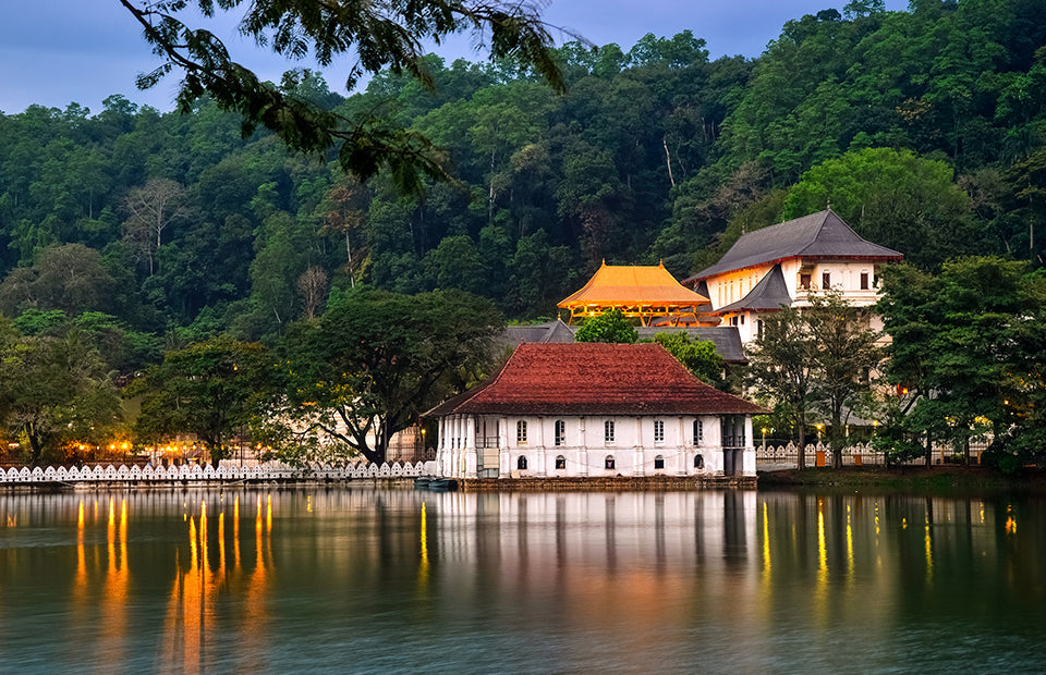 The Royal Travel Package