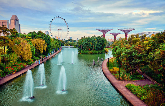 Lion City Tour Package