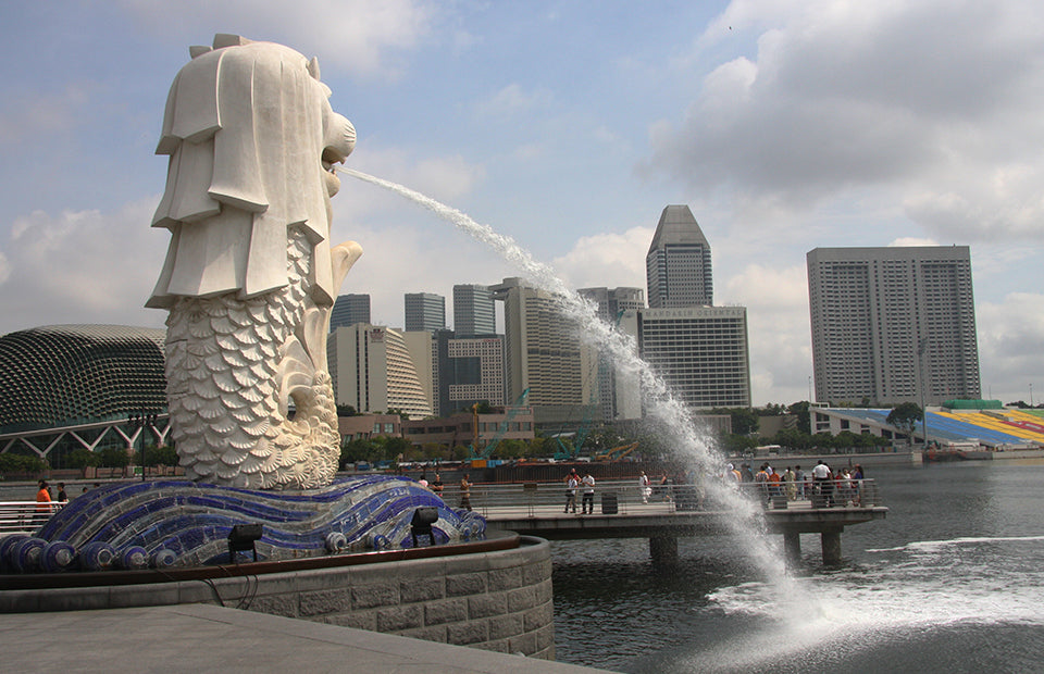 Lion City Tour Package